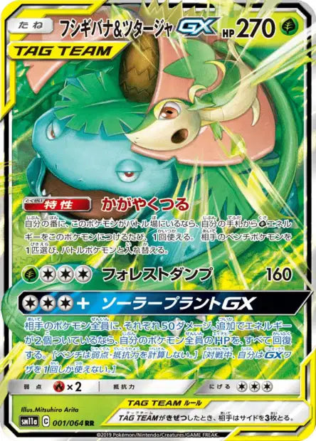 Venusaur & Snivy GX (sm11a 001)
